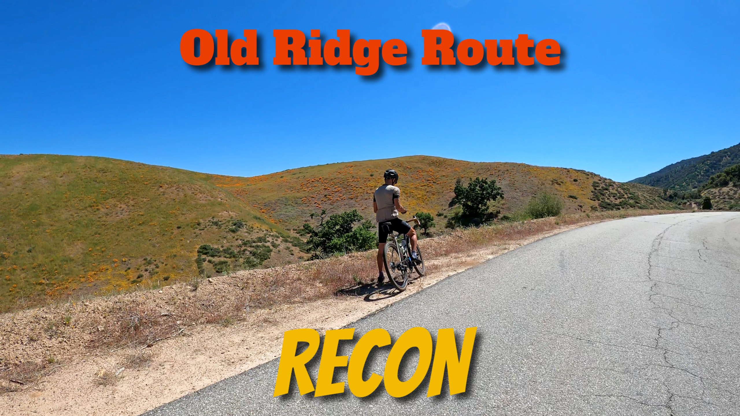 Trail ridge discount road bike ride